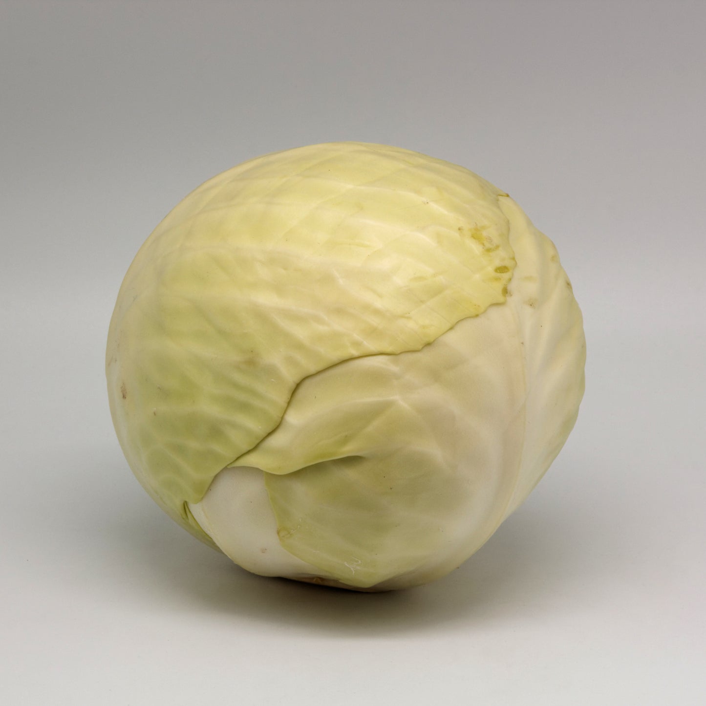 White Cabbage for Weighing