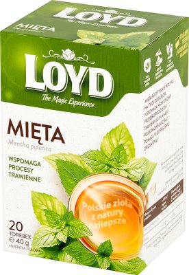 HERBATA LOYD EXP MIĘTA 20*2G
