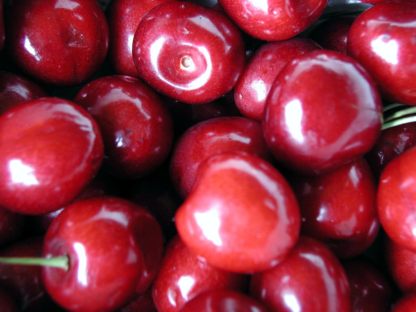 Fresh Cherries