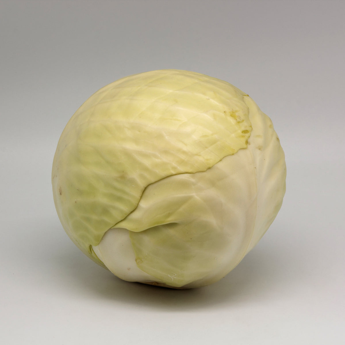 White Cabbage for Weighing