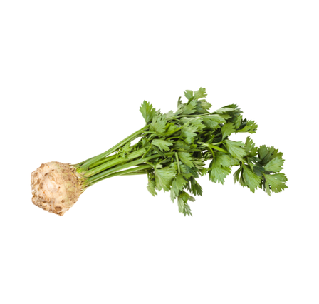 Fresh Young Celery with Leaves (bunch)