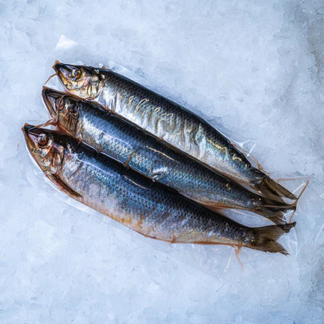 HERRING 3stk