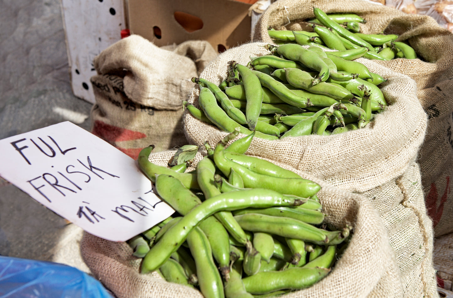 Fresh broad beans 500g