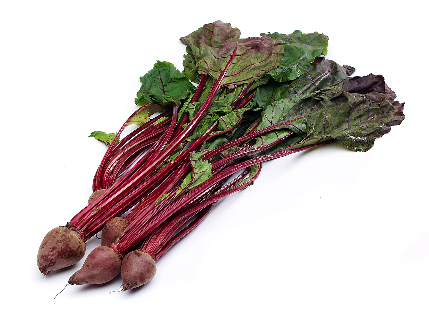 Young Beet Greens Bunch (Botwina)