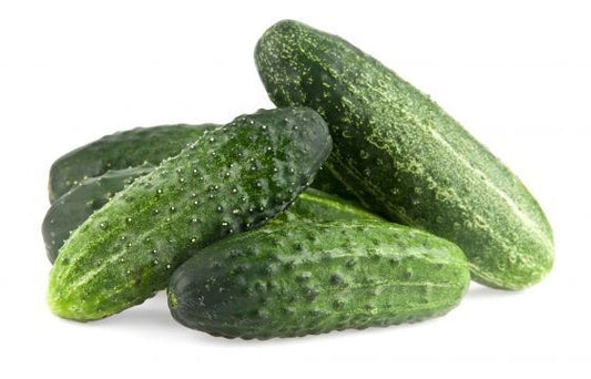 Field Cucumbers