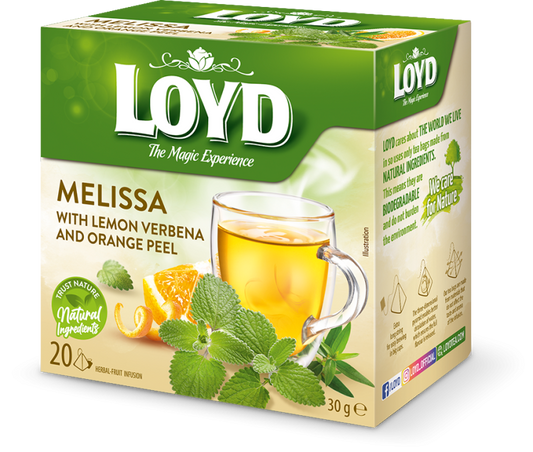 HERBATA LOYD EXP MELISA 20*2G